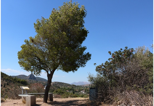 Tolo, site archéologique de Choros Asini #07 (899 visits) Tolo, site archéologique de Choros Asini #07