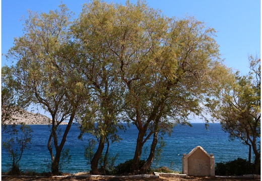 Daskaliou #07 (7096 visits) Daskaliou #07