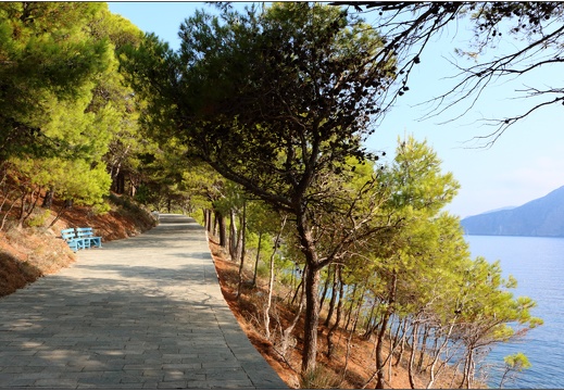 Assos #06 (10308 visits) Assos #06