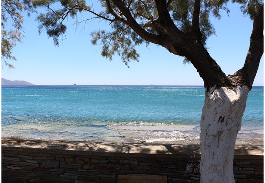 Île d'Eubée, Marmari #06 (9162 visites) Île d'Eubée, Marmari #06
