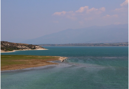 Lac Trichonida #03 (37 visits) Lac Trichonida #03