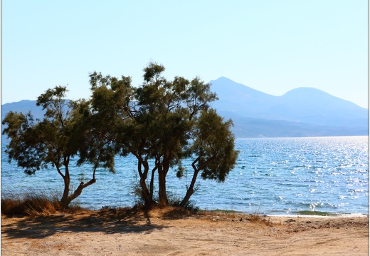 Milos, Provatos #18 (8135 visits) Milos, Provatos #18