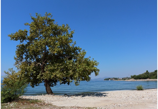 Kala Nera #01 (5571 visits) Kala Nera #01