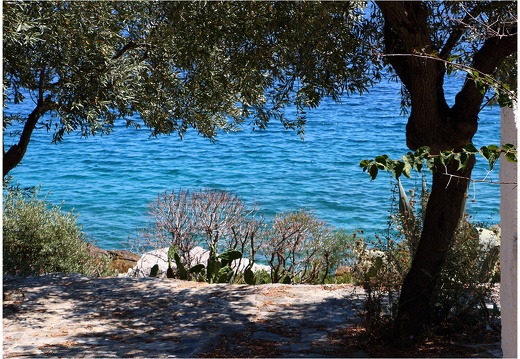 Pointe du Pélion, Agia Kyriaki #02 (9731 visits) Pointe du Pélion, Agia Kyriaki #02