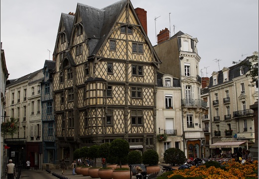 Maison d'Adam #01 (5812 visits) Maison d'Adam #01