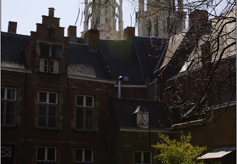 Anvers, jardin botanique #10 (10520 visits) Anvers, jardin botanique #10