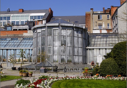 Anvers, jardin botanique #12 (8520 visits) Anvers, jardin botanique #12