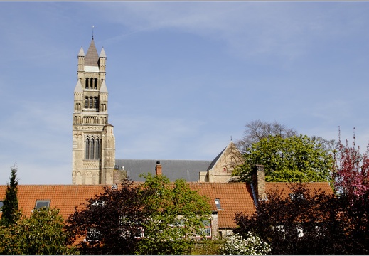 Bruges, Cathédrale Sint-Salvator #01 (9241 visits) Bruges, Cathédrale Sint-Salvator #01