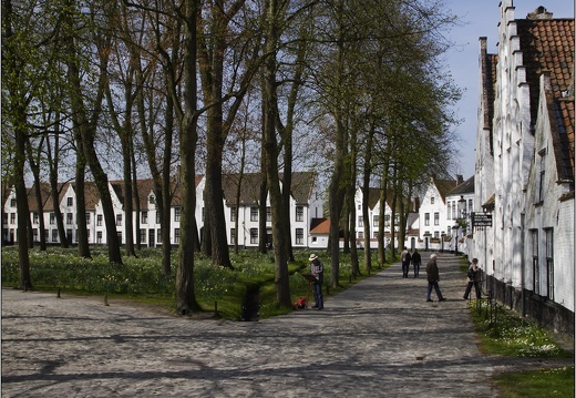 Bruges, Begijnhof #08 (5757 visits) Bruges, Begijnhof #08