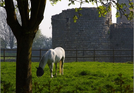 Nesles Château (Marne) #02