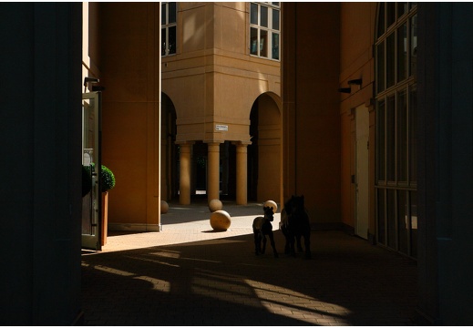 Stockholm, Fatbursparken #04 (1180 visits) Stockholm, Fatbursparken #04
