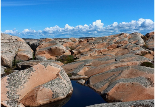 Kungshamn #28 (248 visits) Kungshamn #28