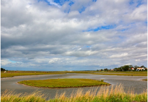 Pointe Skanor-Falsterbo #06