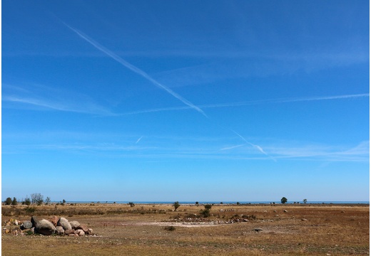 Île de Öland, pointe sud Ottenby #01