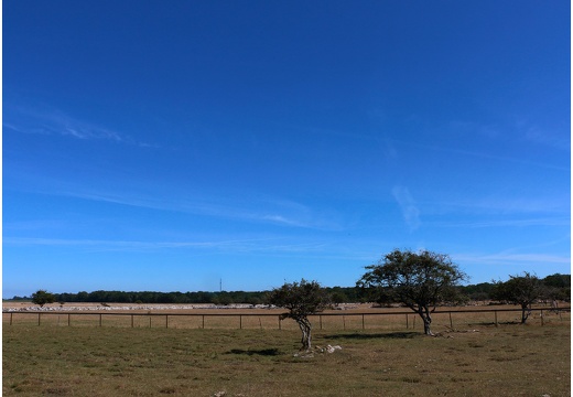 Île de Öland, pointe sud Ottenby #02