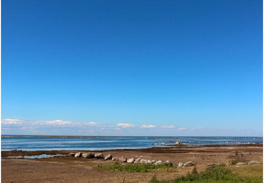 Île de Öland, pointe sud Ottenby #08