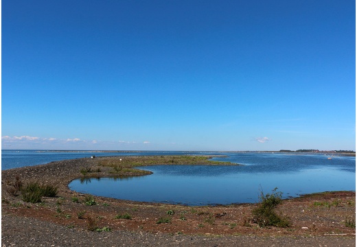 Île de Öland, pointe sud Ottenby #10