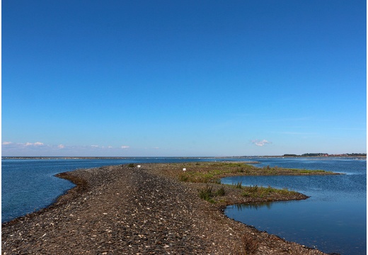 Île de Öland, pointe sud Ottenby #11