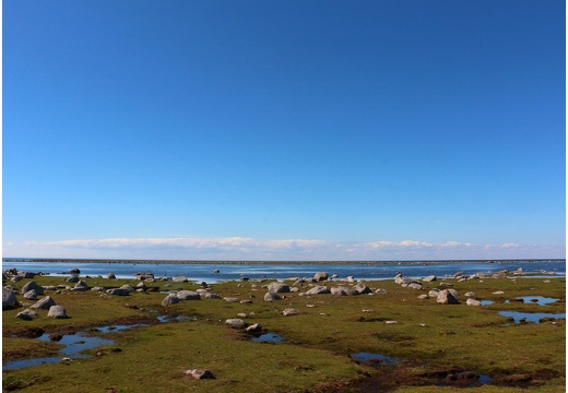 Île de Öland, pointe sud Ottenby #13