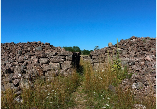 Île de Öland, pointe sud Ottenby #14