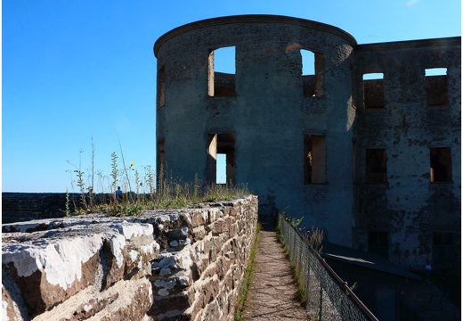 Île de Öland, Borgholms Slott #11