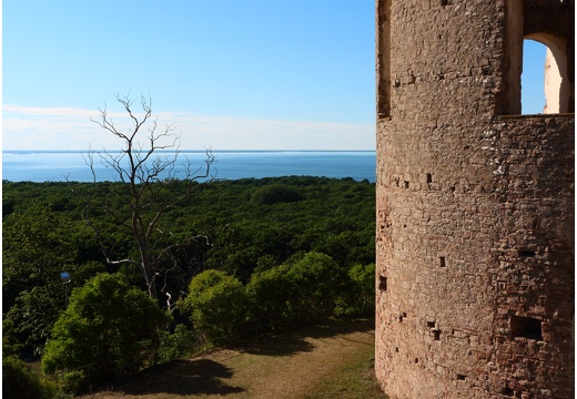 Île de Öland, Borgholms Slott #13