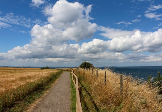 Île de Ven #12