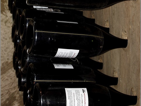 Caves Taittinger #05 (12356 visites) Caves Taittinger #05