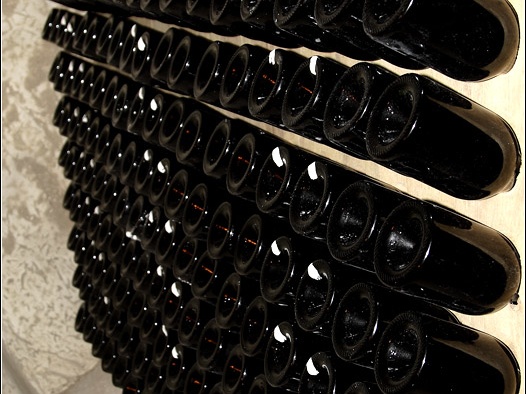 Caves Taittinger #11 (12085 visites) Caves Taittinger #11