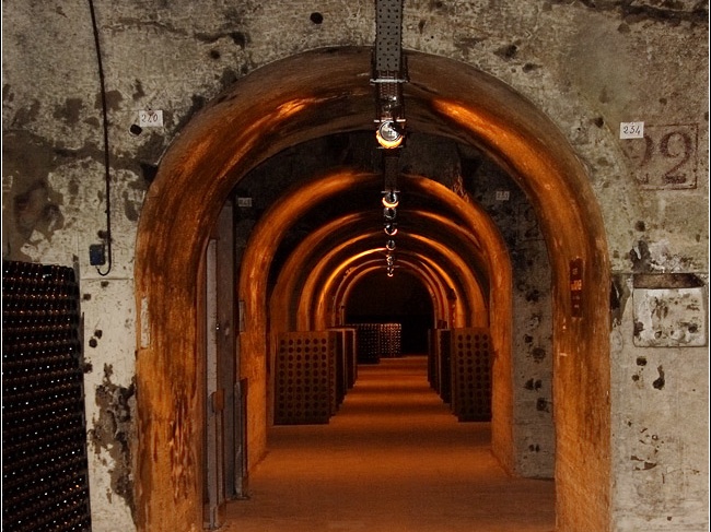 Caves Taittinger #21 (11690 visites) Caves Taittinger #21