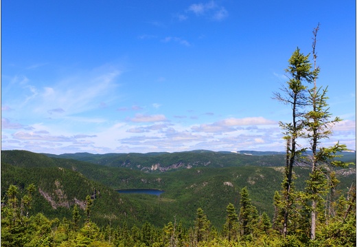 Parc national des grand jardins #01 (459 visites) Parc national des grand jardins #01