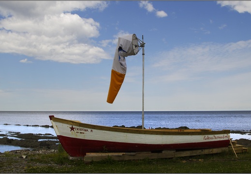 Le Tas-de-Bran-de-Scie, côtes #02 (6841 visites) Le Tas-de-Bran-de-Scie, côtes #02