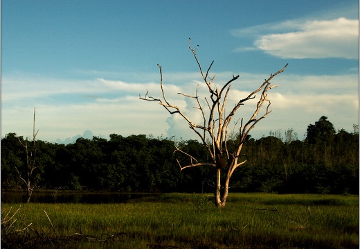 Parcours nature #02 (2221 visites) Parcours nature #02