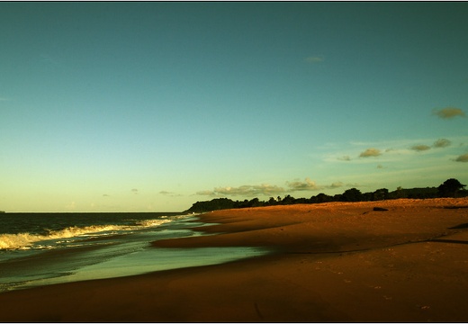 Plage de Montjoly #06 (2422 visites) Plage de Montjoly #06