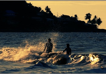 Plage de Montjoly #10 (5848 visites) Plage de Montjoly #10