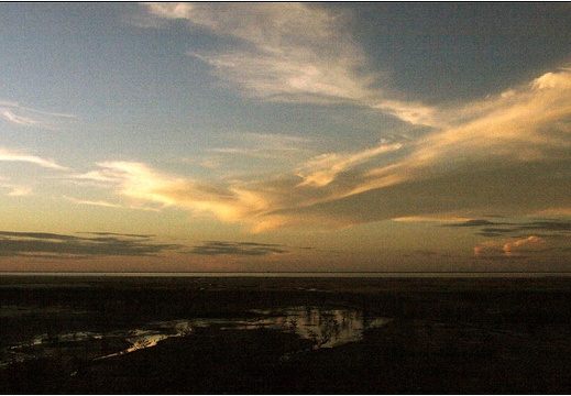 Bord de mer #14 (2495 visites) Bord de mer #14