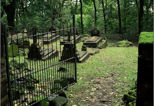 L'île Royale #08 (2945 visites, score 4.52) Le cimetière des enfants. L'île Royale #08