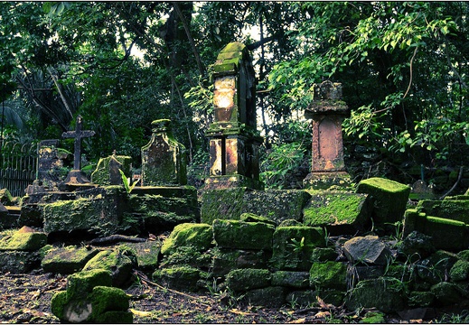 L'île Royale #09 (3684 visites) Le cimetière des enfants. L'île Royale #09