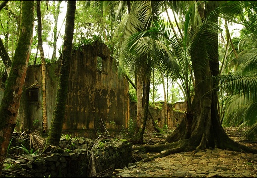 L'île St Joseph #01 (4644 visits) L'île St Joseph #01