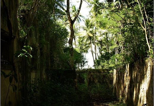 L'île St Joseph #29 (3869 visits) L'île St Joseph #29