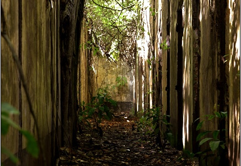 L'île St Joseph #33 (3940 visits) L'île St Joseph #33
