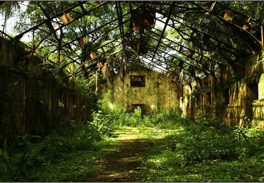 L'île St Joseph #44 (2971 visits) L'île St Joseph #44
