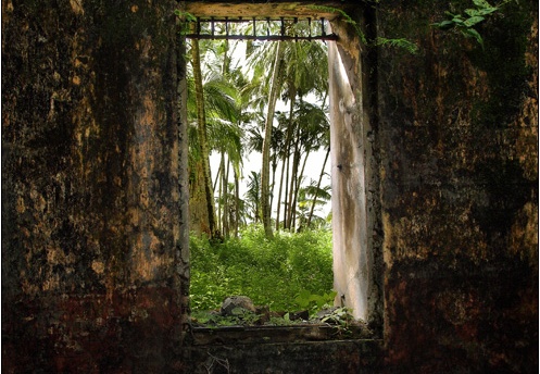 L'île St Joseph #46 (5149 visites) L'île St Joseph #46