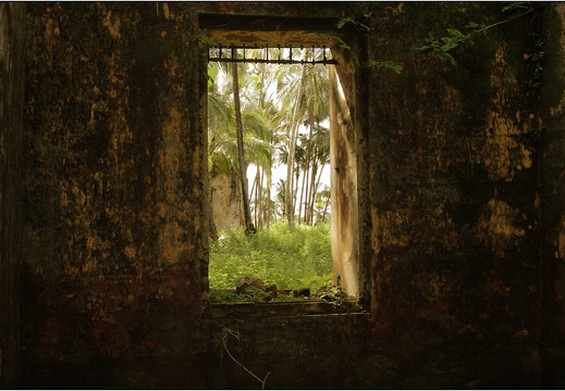L'île St Joseph #47 (4973 visites, score 4.52) L'île St Joseph #47