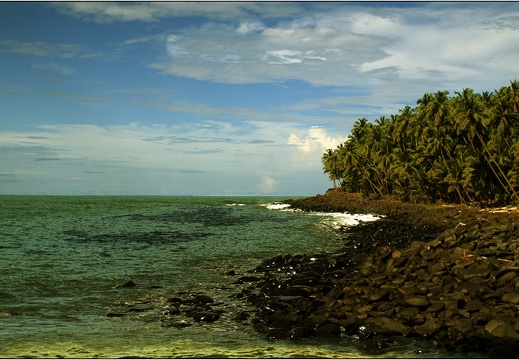 L'île St Joseph #49 (2803 visits) L'île St Joseph #49
