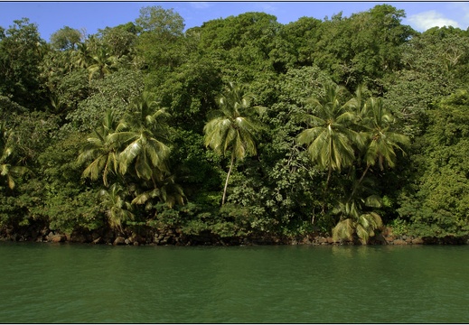 L'île St Joseph #53 (6268 visits) L'île St Joseph #53