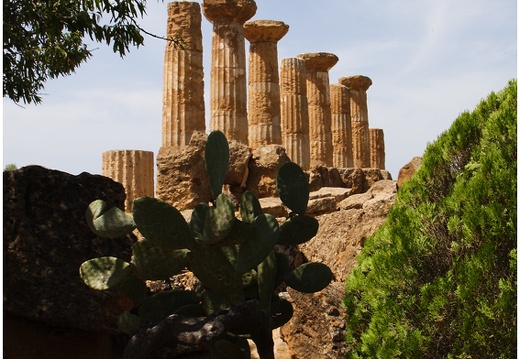 Agrigente, temple d'Hercule #02 (1195 visits) Agrigente, temple d'Hercule #02
