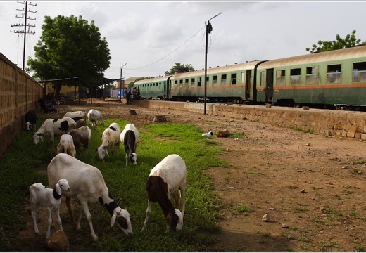 Kayes, gare #29 (3751 visites) Kayes, gare #29