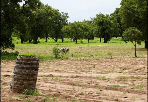Siby, village #12 (2615 visites) Siby, village #12