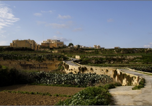 Ta Pinu, Gozo #04 (2653 visites) Ta Pinu, Gozo #04